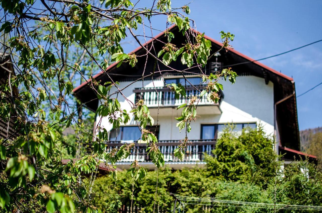Poziomkowa 5 Villa Szczyrk Buitenkant foto